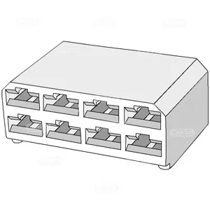 Multiplugg, 8-Pol hona - 1