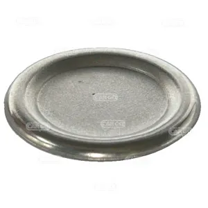 Plugg Bosch, CAV - 1
