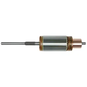 Ankare Delco-Remy 24V - 1