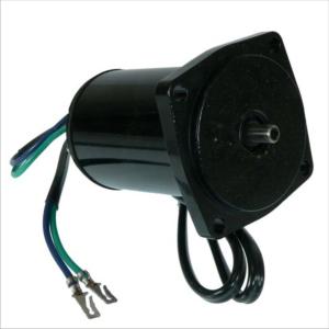 Powertrim- motor 12V - 2