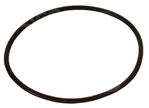 O-Ring Bosch - 1