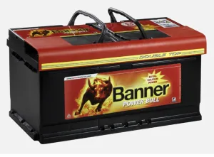 Batteri 12V 110Ah 760CCA Banner - 1