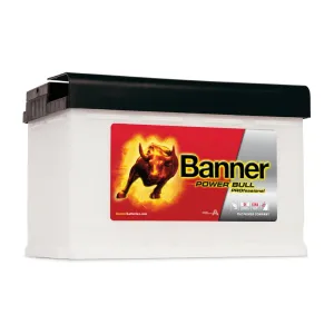 Batteri 12V 77Ah 700CCA Banner - 1