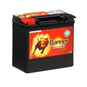 Batteri Backup AGM 12V 12Ah Banner - 2