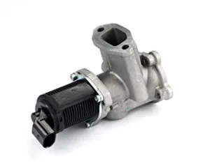 EGR ventil - 1