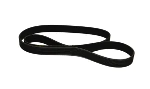 Drivrem 10 spår 1245 mm (49") - 1