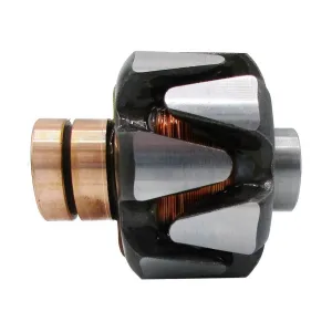Rotor Bosch - 1