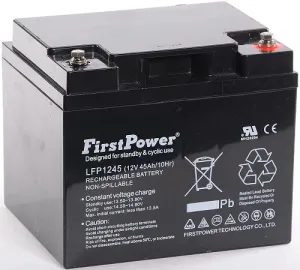 Batteri AGM 12V 45Ah First Power - 1