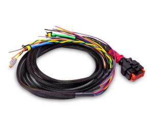 Kablage till Wakespeed WS500 Positiv-CAN - 1