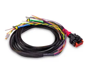 Kablage till Wakespeed WS500 Positiv-CAN - 1
