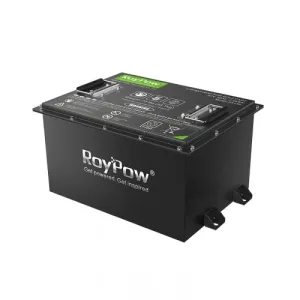 Batteri Litium 48v 105Ah Roypow - 1