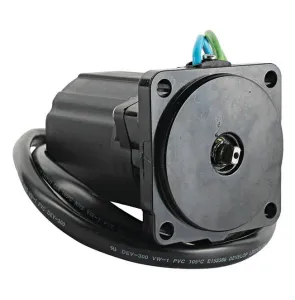 Powertrim-motor 12V - 1