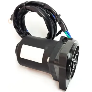 Powertrim-motor 12V Yamaha - 1