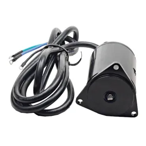 Powertrim- motor 12V - 1