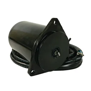 Powertrim- motor 12V - 1