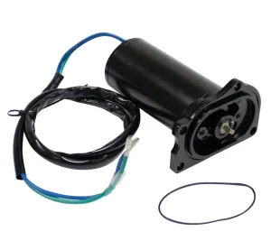Powertrim- motor 12V - 1