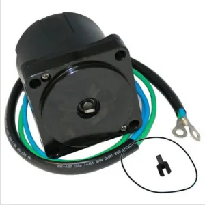 Powertrim- motor 12V - 1