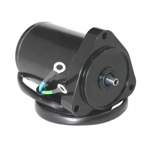 Powertrim- motor 12V - 1