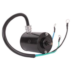 Powertrim- motor 12V - 1