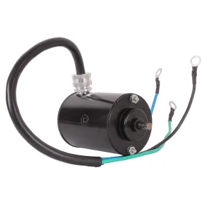 Powertrim- motor 12V - 1
