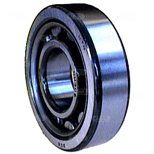 Rullager 25/62x17mm - 1